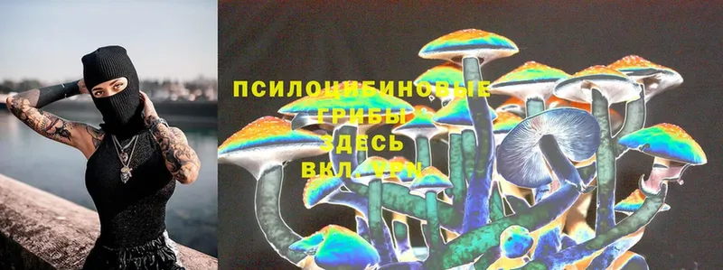 Псилоцибиновые грибы Psilocybe  Раменское 